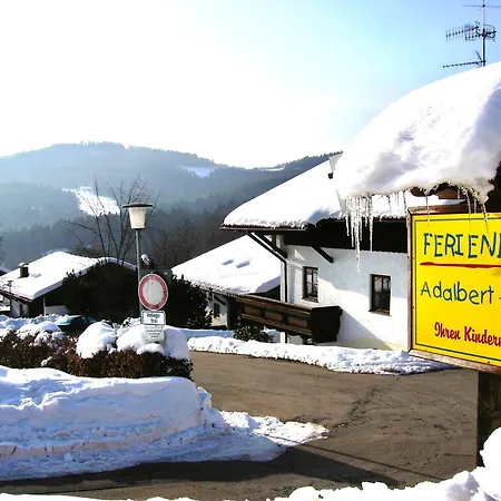 Apartment Pool Sauna Hallenbad Nähe Skipiste Bayer Wald